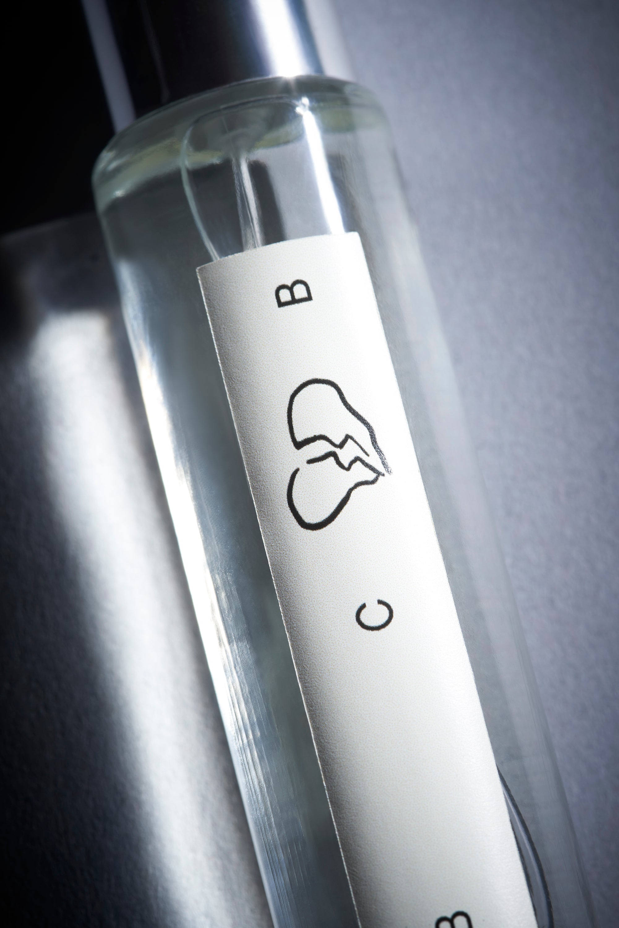 PAST LOVERS | ROSE PINK PEPPERCORN